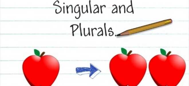 Множественное число существительных в английском языке. Простые и наглядные правила с упражнениями