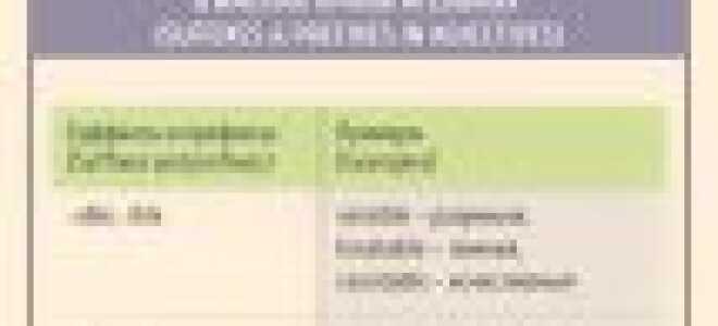 Шпаргалка по английскому языку: интересно и легко