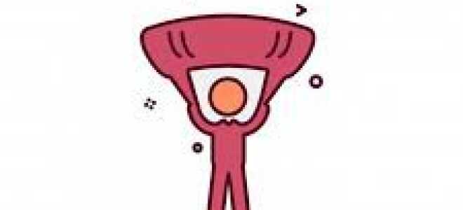 Отличие между HAVE YOU EVER? и DID YOU USE TO? когда мы говорим об имеющемся опыте.