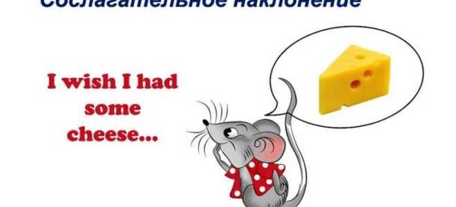 Сослагательное наклонение — The Subjunctive Mood