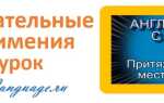 Притяжательные местоимения — урок 7 — английский с нуля