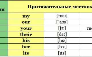 Притяжательные местоимения в английском языке. Правила, примеры, видео урок
