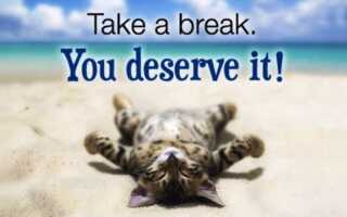 Фразовый глагол break