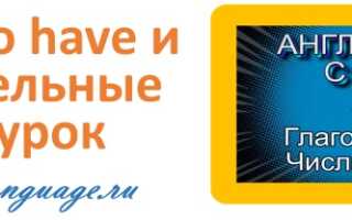 Глагол to have и числительные — урок 10 — английский с нуля