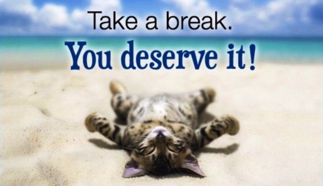 фразовый глагол break
