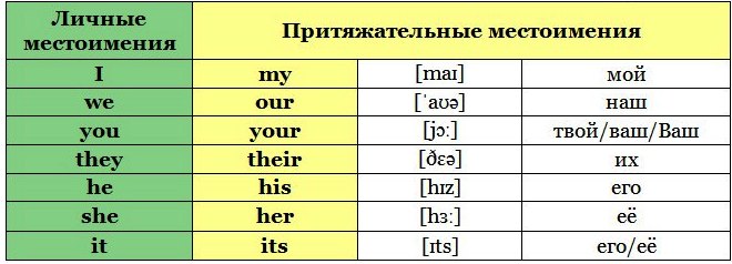 Притяжательные местоимения в английском языке